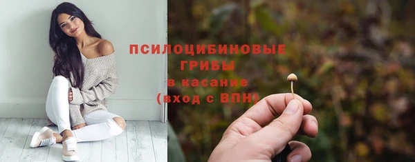прущая мука Сясьстрой